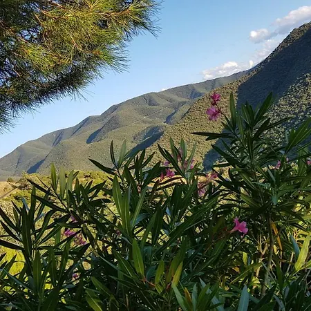 Gites-Terroirs-Occitanie Felluns Exterior foto